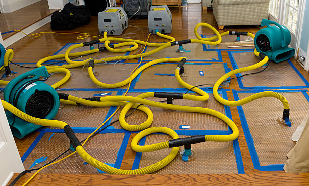 Professional Basement Flood Cleanup technician working in Eden, WI